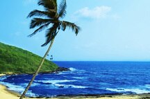 Tropical Beach Tropical Beach